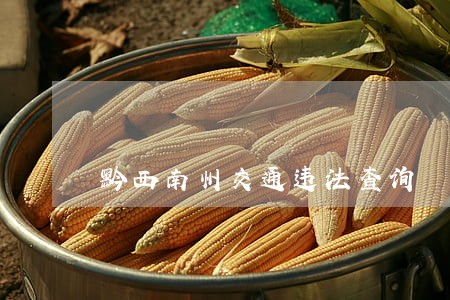 黔西南州交通违法查询 黔西南州交通违法查询