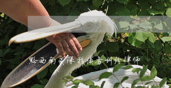 黔西南资深找债务纠纷律师 黔西南资深找债务纠纷律师