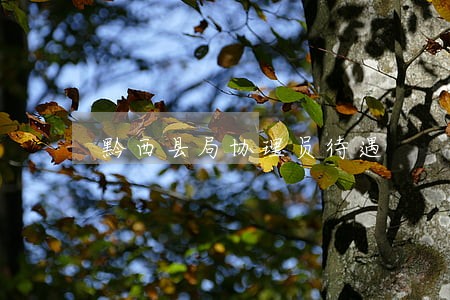 黔西县局协理员待遇 黔西县局协理员待遇