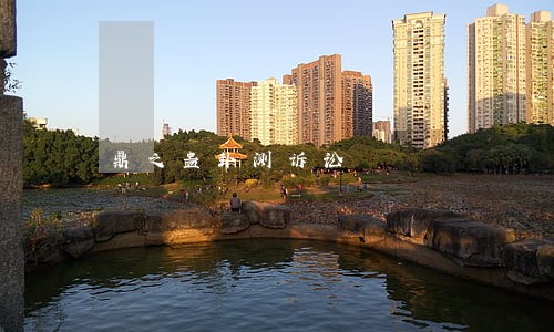 鼎之蛊卦测诉讼 鼎之蛊卦测诉讼