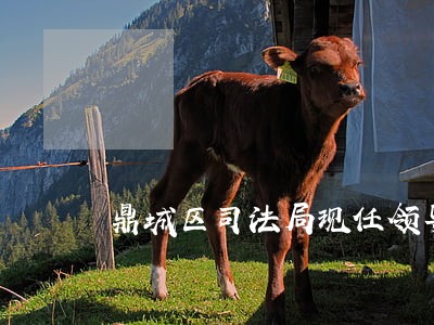 鼎城区司法局现任领导班子