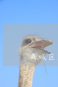 鼎城区知名职务侵占罪诉讼律师 鼎城区知名职务侵占罪诉讼律师