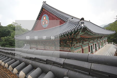 鼎基律师 鼎基律师