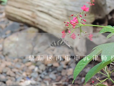 鼎湖区再审申诉律师价格 鼎湖区再审申诉律师价格