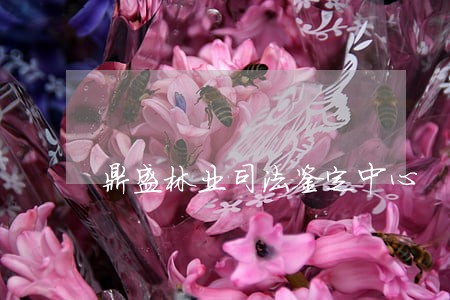 鼎盛林业司法鉴定中心 鼎盛林业司法鉴定中心