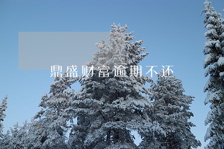 鼎盛财富逾期不还