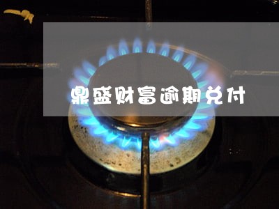鼎盛财富逾期兑付 鼎盛财富逾期兑付