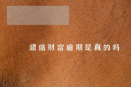 鼎盛财富逾期是真的吗 鼎盛财富逾期是真的吗
