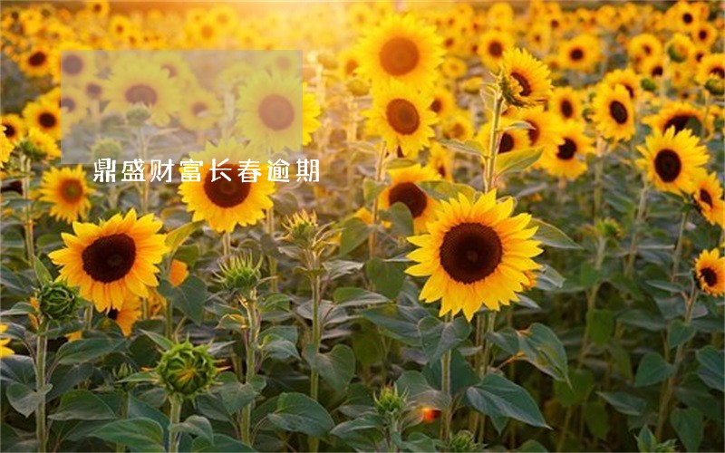 鼎盛财富长春逾期 鼎盛财富长春逾期