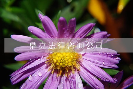 鼎立法律咨询公司 鼎立法律咨询公司