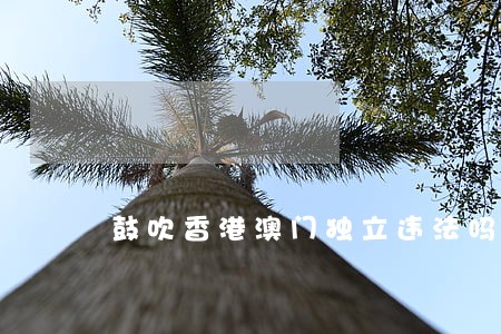 鼓吹香港澳门独立违法吗 鼓吹香港澳门独立违法吗