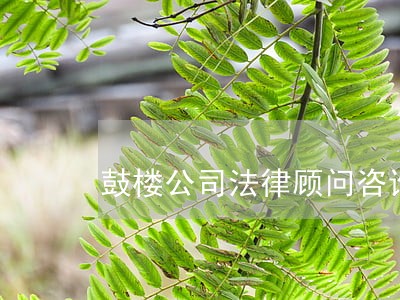 鼓楼公司法律顾问咨询了解