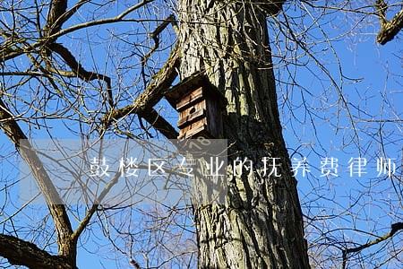 鼓楼区专业的抚养费律师 鼓楼区专业的抚养费律师
