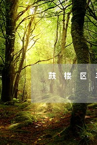 鼓楼区丰财街道交通事故律师 鼓楼区丰财街道交通事故律师