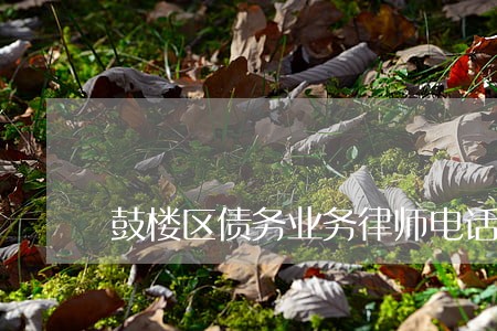 鼓楼区债务业务律师电话咨询