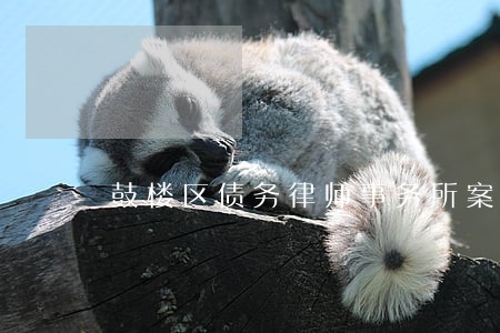 鼓楼区债务律师事务所案件咨询 鼓楼区债务律师事务所案件咨询
