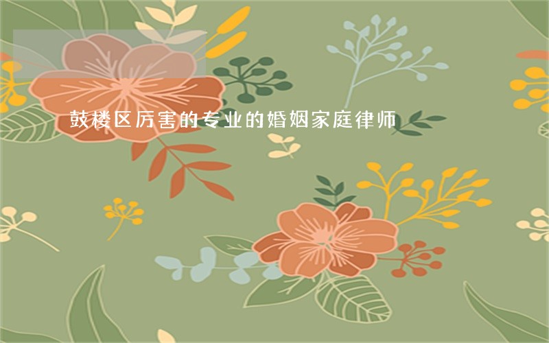 鼓楼区厉害的专业的婚姻家庭律师 鼓楼区厉害的专业的婚姻家庭律师