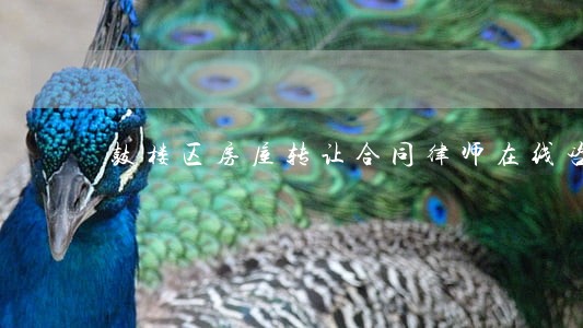 鼓楼区房屋转让合同律师在线咨询 鼓楼区房屋转让合同律师在线咨询
