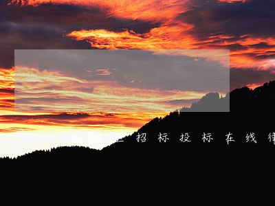 鼓楼区招标投标在线律师