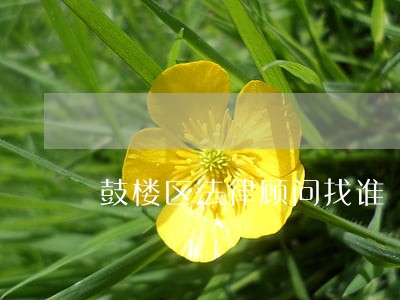 鼓楼区法律顾问找谁 鼓楼区法律顾问找谁