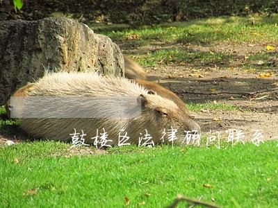 鼓楼区法律顾问联系方式 鼓楼区法律顾问联系方式