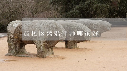 鼓楼区离婚律师哪家好 鼓楼区离婚律师哪家好