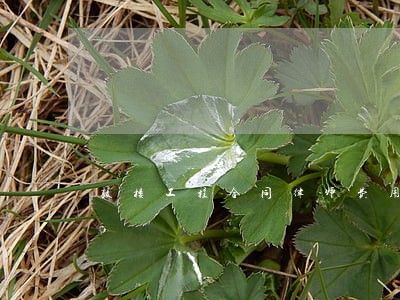 鼓楼工程合同律师费用 鼓楼工程合同律师费用