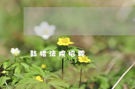鼓楼法院招聘