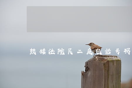 鼓楼法院民二庭电话号码 鼓楼法院民二庭电话号码