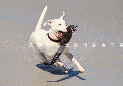 鼓楼法院金融借款合同要素表下载 鼓楼法院金融借款合同要素表下载