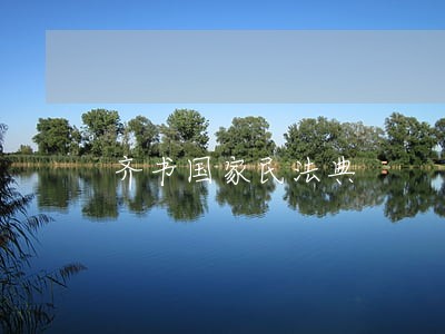 齐书国家民法典 齐书国家民法典