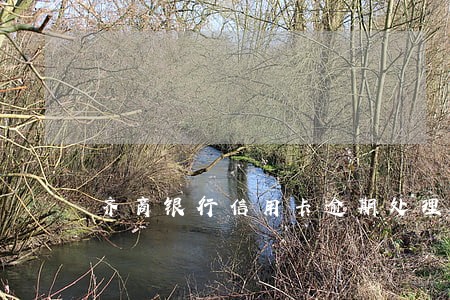 齐商银行信用卡逾期处理中心 齐商银行信用卡逾期处理中心