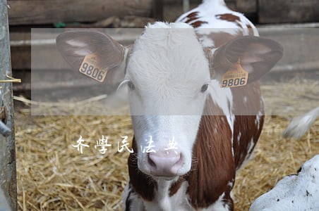 齐学民法典 齐学民法典