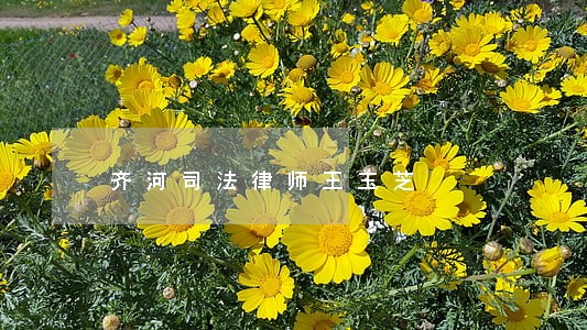 齐河司法律师王玉芝 齐河司法律师王玉芝