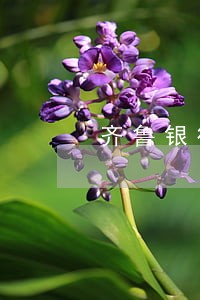 齐鲁银行信用卡可以逾期多久 齐鲁银行信用卡可以逾期多久