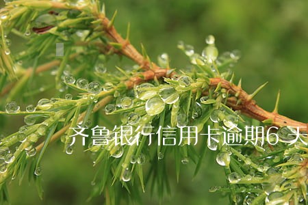 齐鲁银行信用卡逾期6天 齐鲁银行信用卡逾期6天