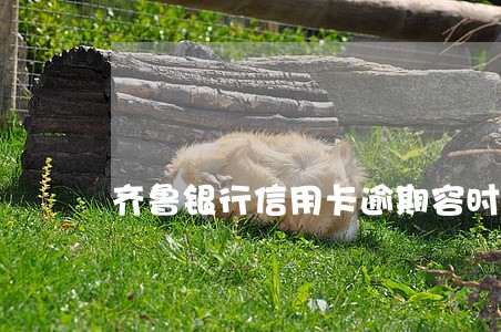 齐鲁银行信用卡逾期容时 齐鲁银行信用卡逾期容时