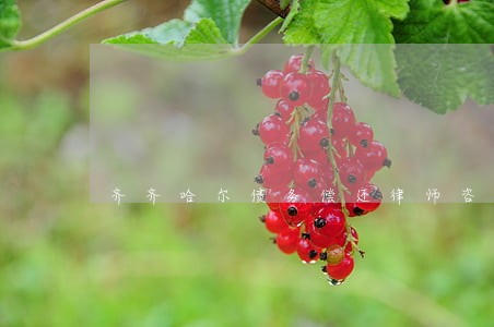 齐齐哈尔债务偿还律师咨询电话 齐齐哈尔债务偿还律师咨询电话