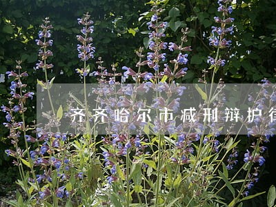齐齐哈尔市减刑辩护律师费用 齐齐哈尔市减刑辩护律师费用
