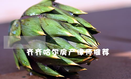 齐齐哈尔房产律师推荐 齐齐哈尔房产律师推荐
