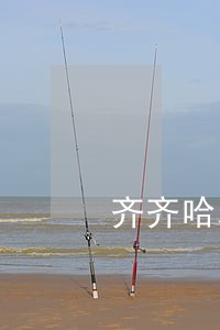 齐齐哈尔整治违法停车 齐齐哈尔整治违法停车