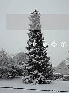 齐齐哈尔法律咨询 齐齐哈尔法律咨询