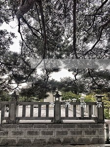 齐齐哈尔法律顾问咨询 齐齐哈尔法律顾问咨询
