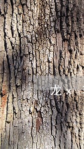 龙x车辆自身交通事故该如何诉讼 龙x车辆自身交通事故该如何诉讼