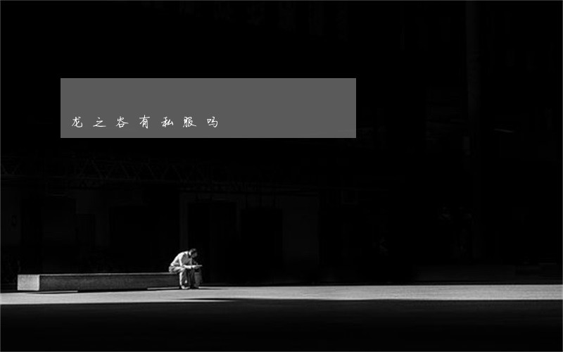 龙之谷有私服吗 龙之谷有私服吗