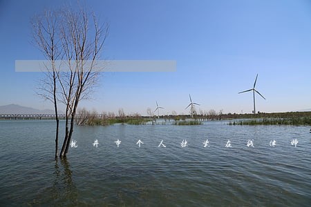 龙井市个人独资在线律师 龙井市个人独资在线律师