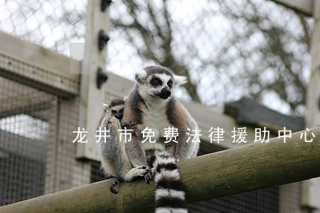 龙井市免费法律援助中心 龙井市免费法律援助中心