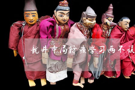 龙井市局防疫学习两不误 龙井市局防疫学习两不误