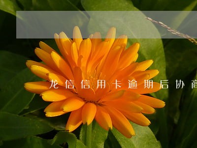 龙信信用卡逾期后协商电话 龙信信用卡逾期后协商电话