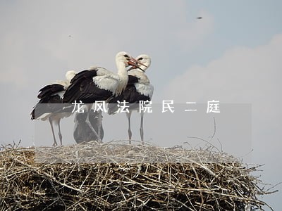 龙凤法院民二庭 龙凤法院民二庭